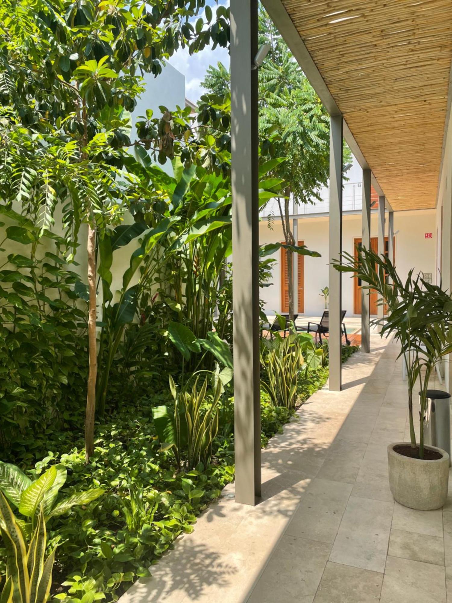 Villa Orquidea Boutique Hotel Mérida Εξωτερικό φωτογραφία